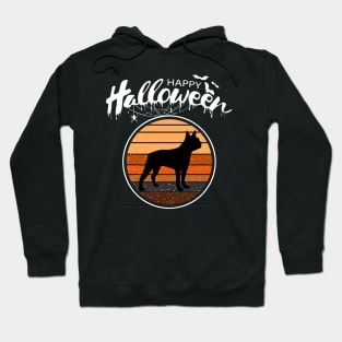 Funny Happy Halloween Beautiful Boston Terrier Men Women Hoodie